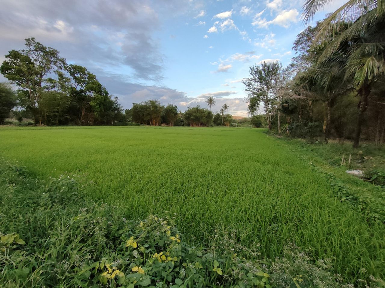 รูปภาพเพิ่มเติม ขายที่ดิน-ติดภูเขา-ช่องมะเฟือง-เนื้อที่-9-ไร่-ติดภูเขา-ติดลำรางน้ำสาธารณะ-วิวสวยมาก - ลำดับที่ 1