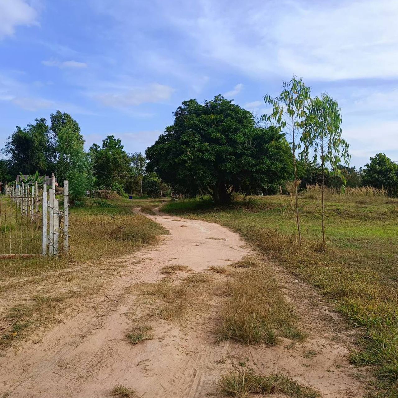 รูปภาพเพิ่มเติม ขายที่ดิน-13-ไร่-หนองกระทม-ด่านช่องจอมไร่ละ-1.5แสนบาท - ลำดับที่ 3