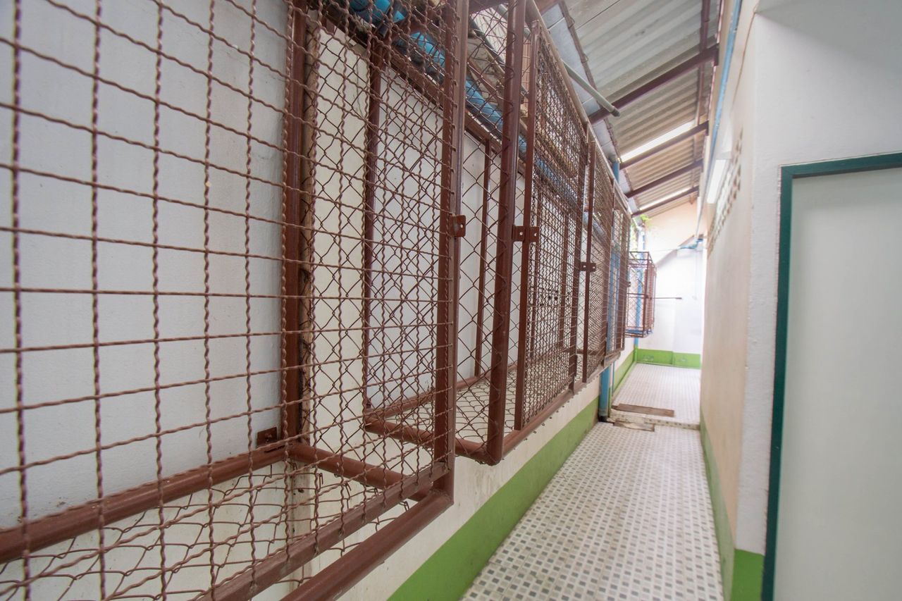 รูปภาพเพิ่มเติม หอพักธนภร - THANAPHON-DORMITORY - ลำดับที่ 3