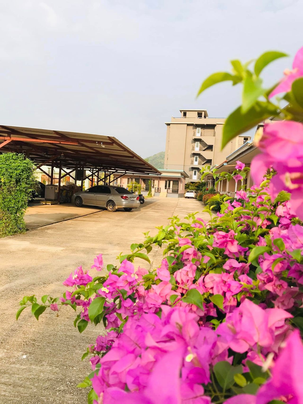 รูปภาพเพิ่มเติม รัตนกุลโฮม-แม่ฟ้าหลวง - rattanakul-home - ลำดับที่ 4