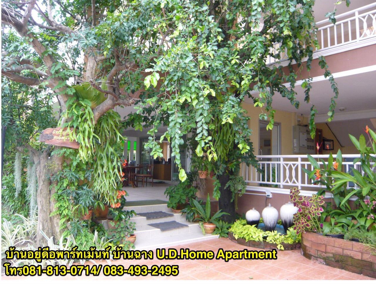 รูปภาพเพิ่มเติม บ้านอยู่ดี-อพาร์ทเม้นท์ - U.D-Home-Apartment - ลำดับที่ 17