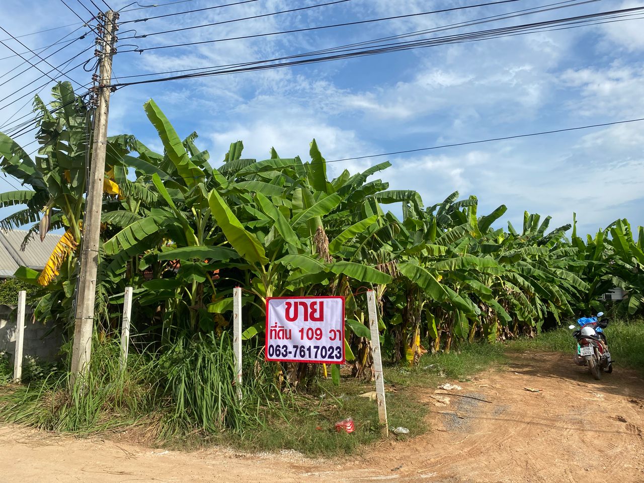 รูปภาพเพิ่มเติม ขายที่ดิน - ลำดับที่ 3