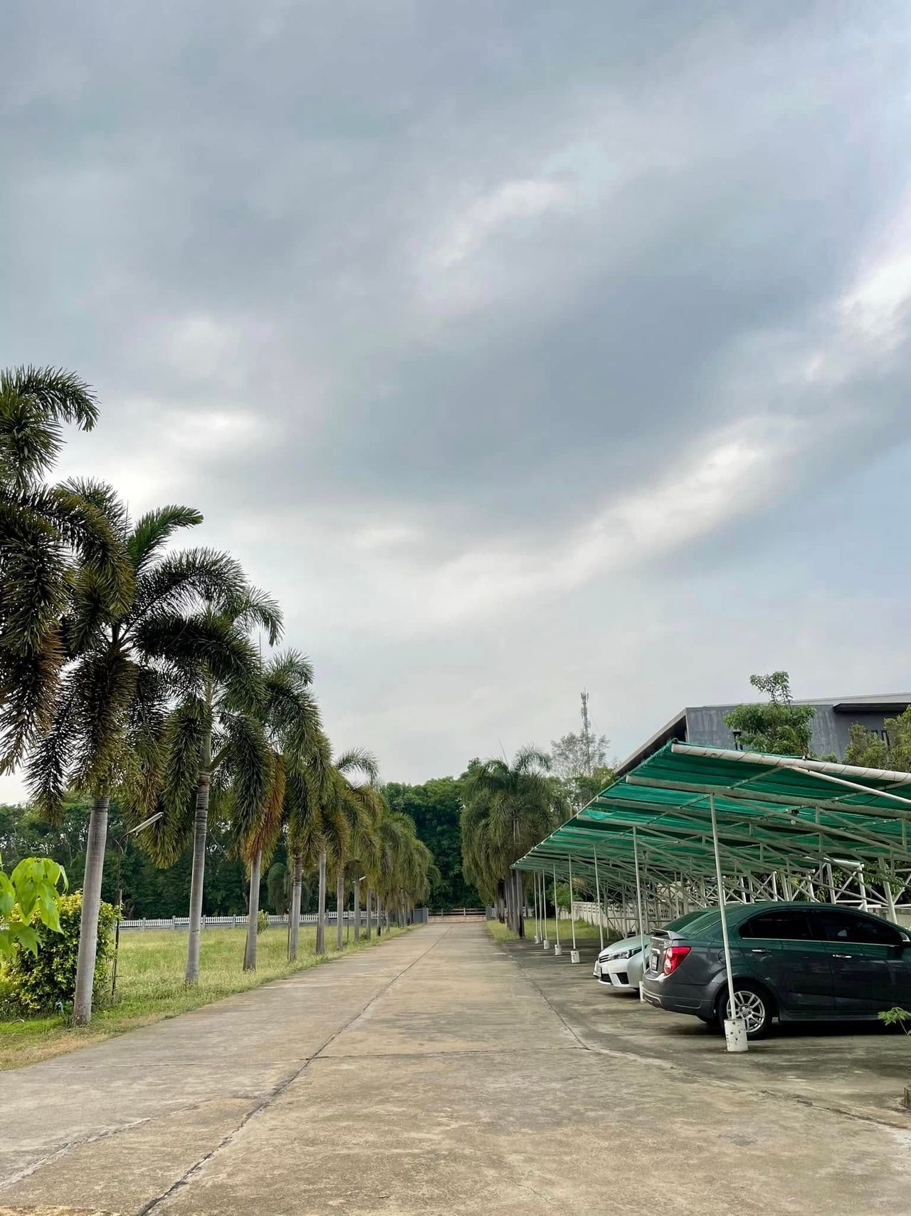 รูปภาพเพิ่มเติม ปาล์มการ์เดนท์เพลส - Palm-garden-place - ลำดับที่ 9