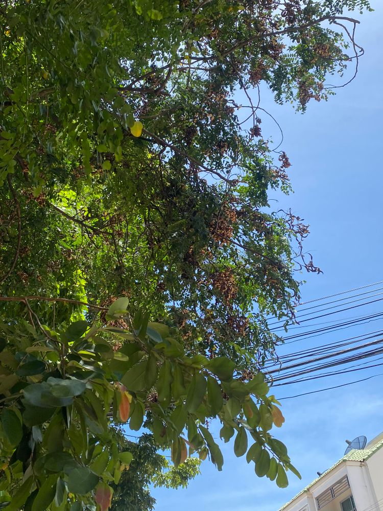 ภาพแบบห้อง