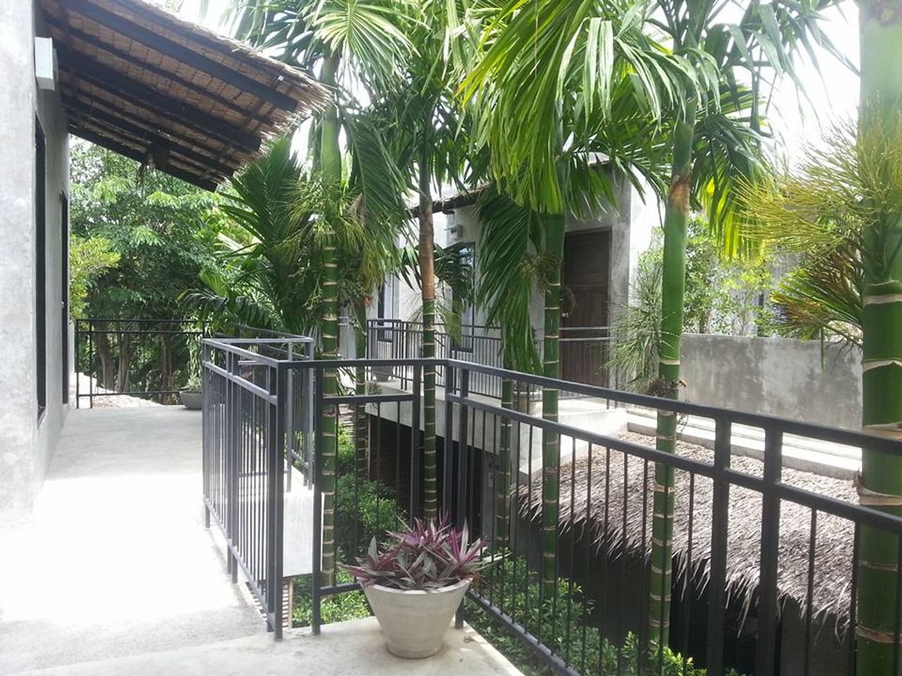 รูปภาพเพิ่มเติม ห้องพักรายเดือน-เขาเต่า - Room-Fer-Rent-Khao-Tao - ลำดับที่ 2