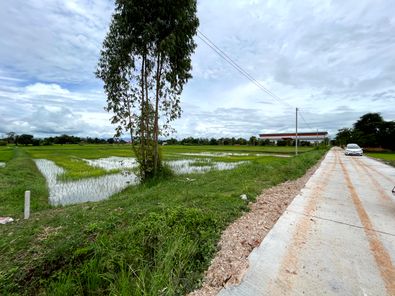 ขายที่ดิน 5ไร่ ไฟฟ้าถึง ติดคลองน้ำสองด้าน ใกล้สนามแบตชยาธิป บ้านหนองไผ่ ศิลา