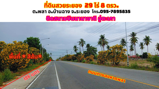 ขายที่ดินระยอง พลา บ้านฉาง 29ไร่ 8.8 ตรว. ติดสนามบินนานาชาติอู่ตะเภา ติดถนนลงหาดพลา