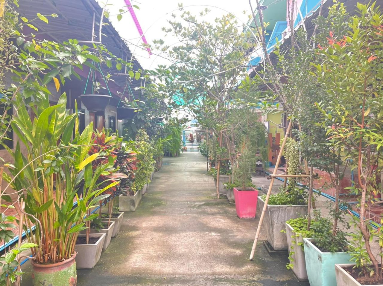 รูปภาพเพิ่มเติม วินนี่-อพาร์ตเมนต์-ระยอง - Winny-ApartmentRayong - ลำดับที่ 16