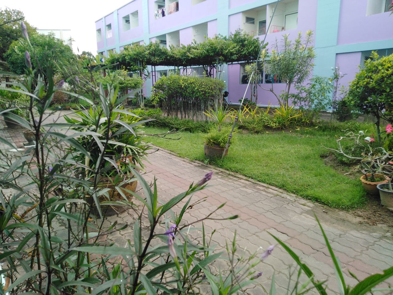 รูปภาพเพิ่มเติม พีระอพาร์ทเมนท์ - peeraapartment - ลำดับที่ 15
