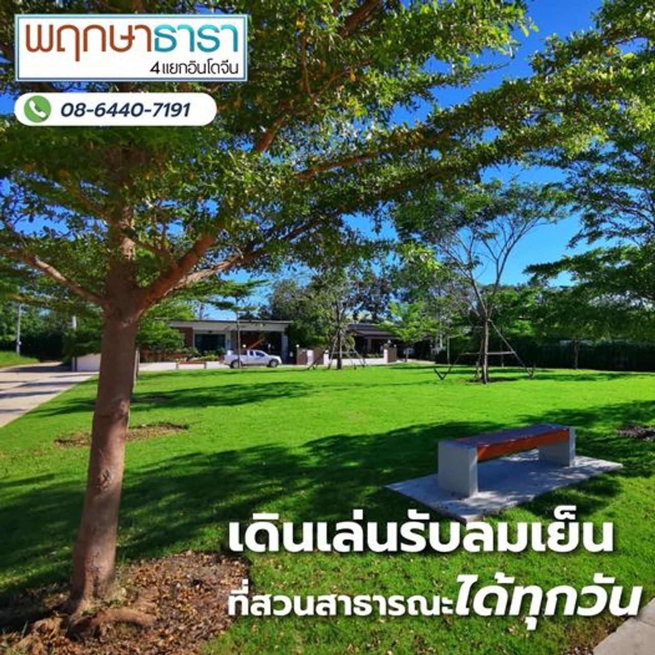 รูปภาพเพิ่มเติม พฤกษาธารา4แยกอินโดจีน - ลำดับที่ 11