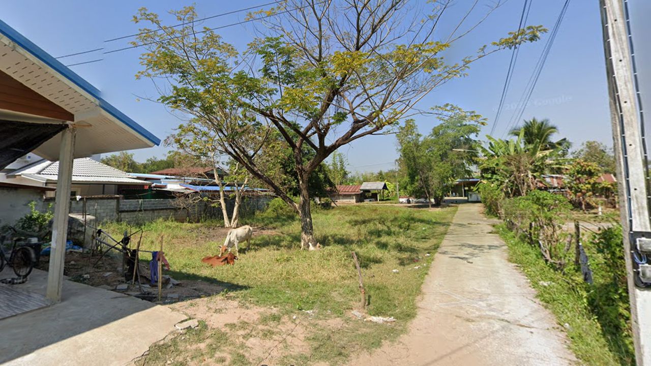 รูปภาพเพิ่มเติม ขายที่ดิน-2งาน-5.8-ตรว-เหมาะสำหรับสร้างบ้าน - ลำดับที่ 3