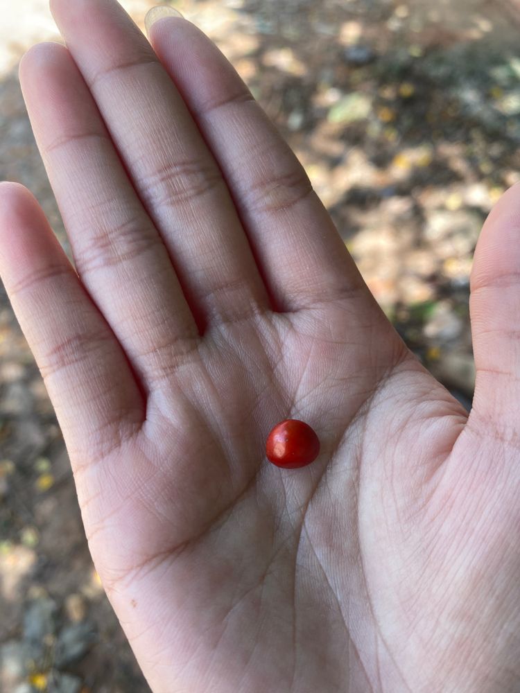 ภาพแบบห้อง