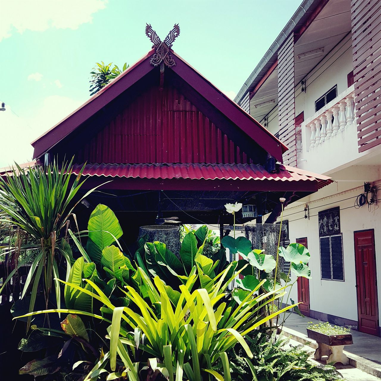 รูปภาพเพิ่มเติม หอพักวริศนันท์โฮม - WARISANAN-HOME - ลำดับที่ 2
