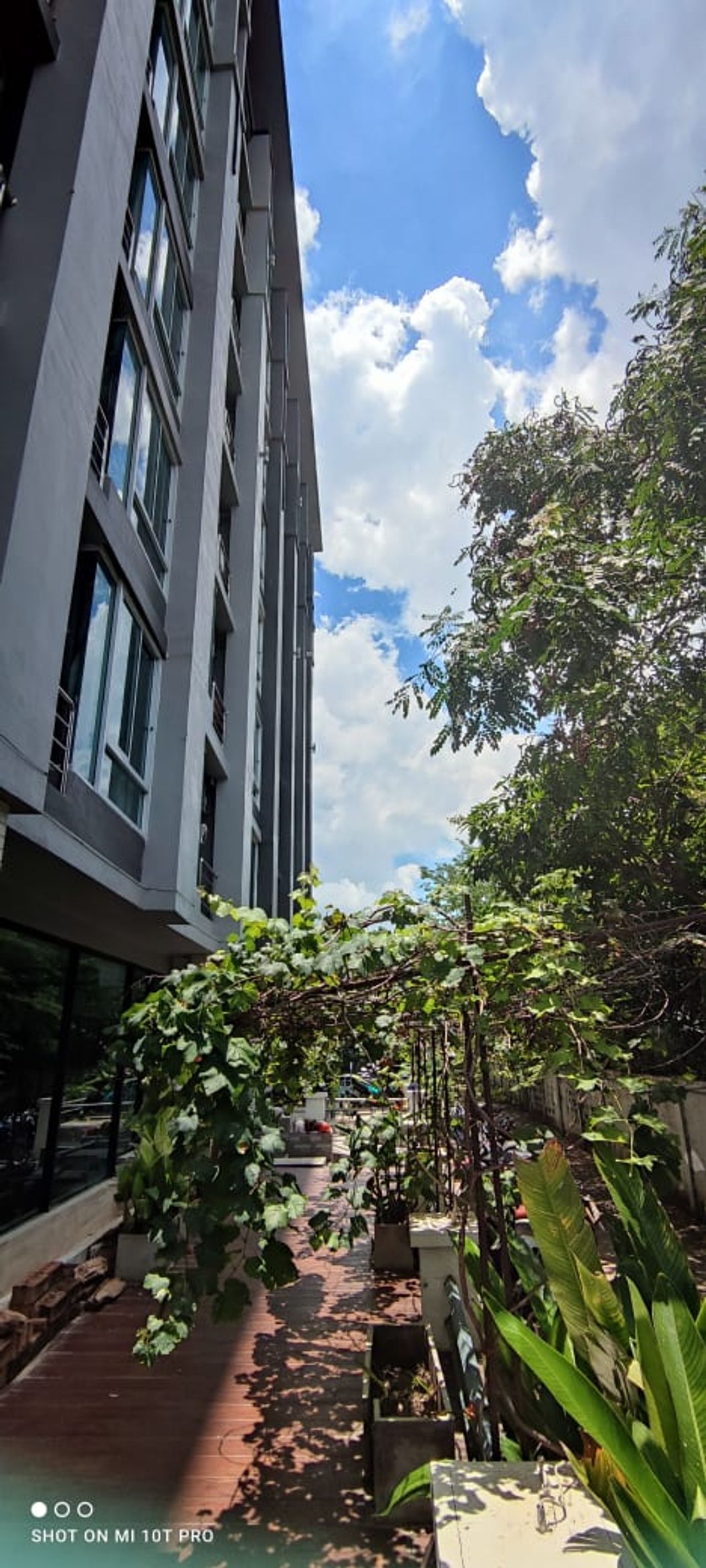 รูปภาพเพิ่มเติม ไดมอนด์-เรสซิเด้นซ์ - Diamond-Residence-หอพักกังสดาล-หอพักขอนแก่น - ลำดับที่ 12