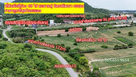 ขายที่ดินผังสีม่วง 48 ไร่ ราคาถูกที่สุด เหมาะสร้างโรงงาน ทางเข้าติดถนนสาย36และซอย8 มะขามคู่ นิคมพัฒนา ระยอง