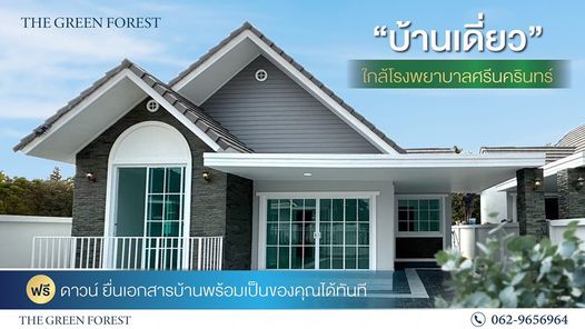 เดอะกรีนฟอเรส - The Green Forest