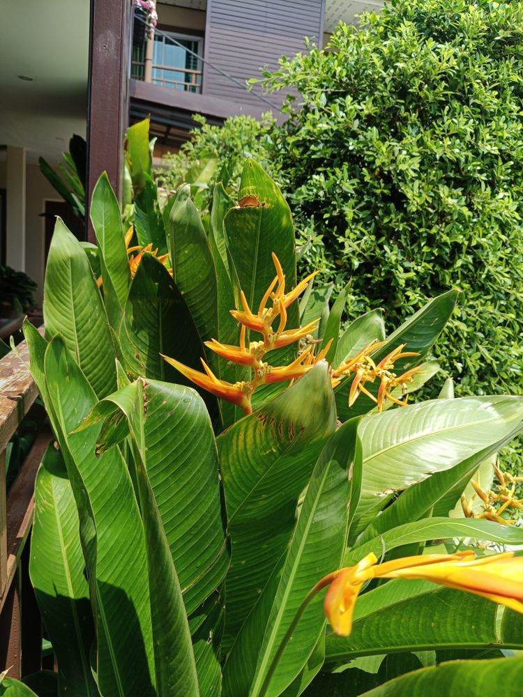 ภาพแบบห้อง