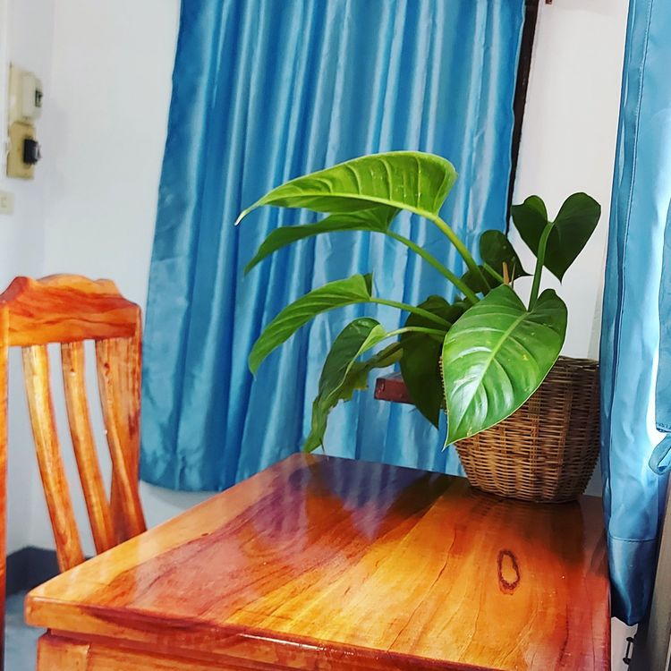 ภาพแบบห้อง