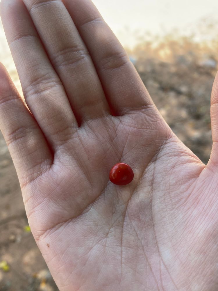 ภาพแบบห้อง