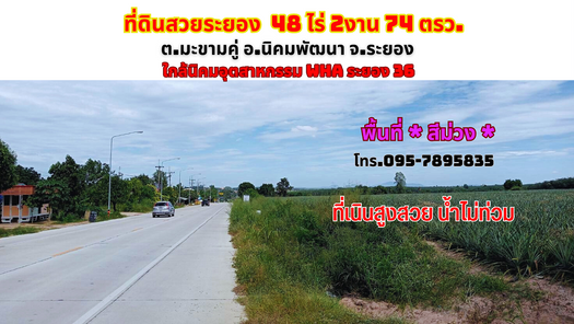 ขายที่ดินระยอง 48-2-74ไร่ มะขามคู่ อ.นิคมพัฒนา พื้นที่ *สีม่วง* ใกล้นิคมอุตสาหกรรม WHA ระยอง 36