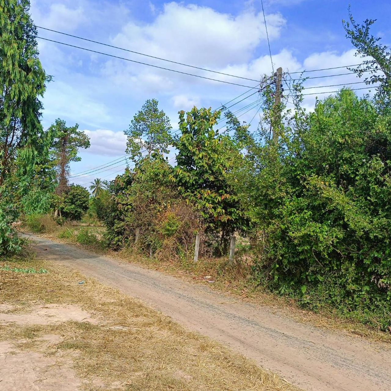 รูปภาพเพิ่มเติม ขายที่ดิน3-ไร่-บ.โคกสะอาด-ต.นาบัว-3-ไร่-360000-ต่อไร่ - ลำดับที่ 4