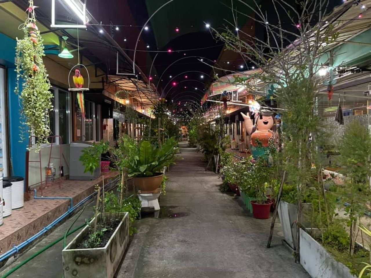 รูปภาพเพิ่มเติม วินนี่-อพาร์ตเมนต์-ระยอง - Winny-ApartmentRayong - ลำดับที่ 12