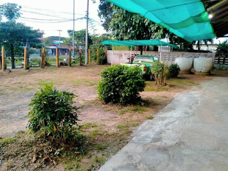 ภาพแบบห้อง