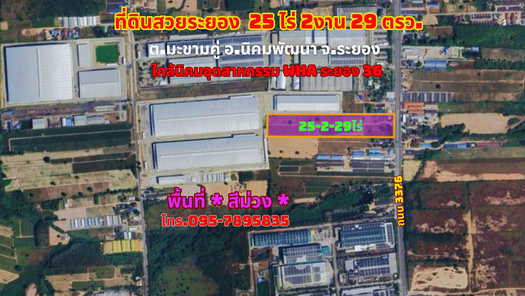 ขายที่ดินระยอง 25-2-29ไร่ มะขามคู่ อ.นิคมพัฒนา สาย 13 พื้นที่ *สีม่วง* ใกล้นิคมอุตสาหกรรม WHA ระยอง 36