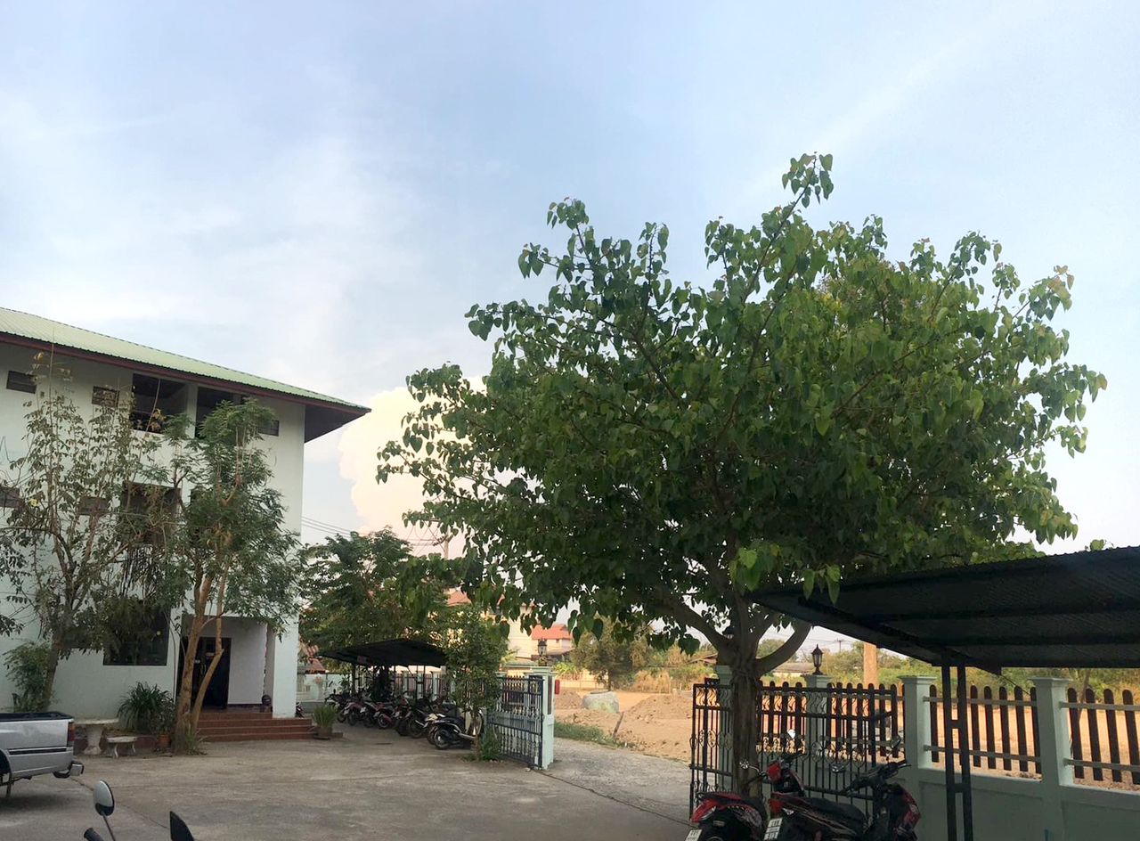 รูปภาพเพิ่มเติม ชนะมี-แมนชั่น - Chanamee-Mansion - ลำดับที่ 3