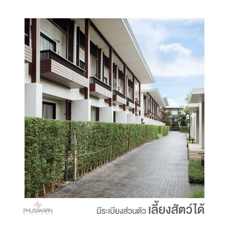 ภาพแบบห้อง