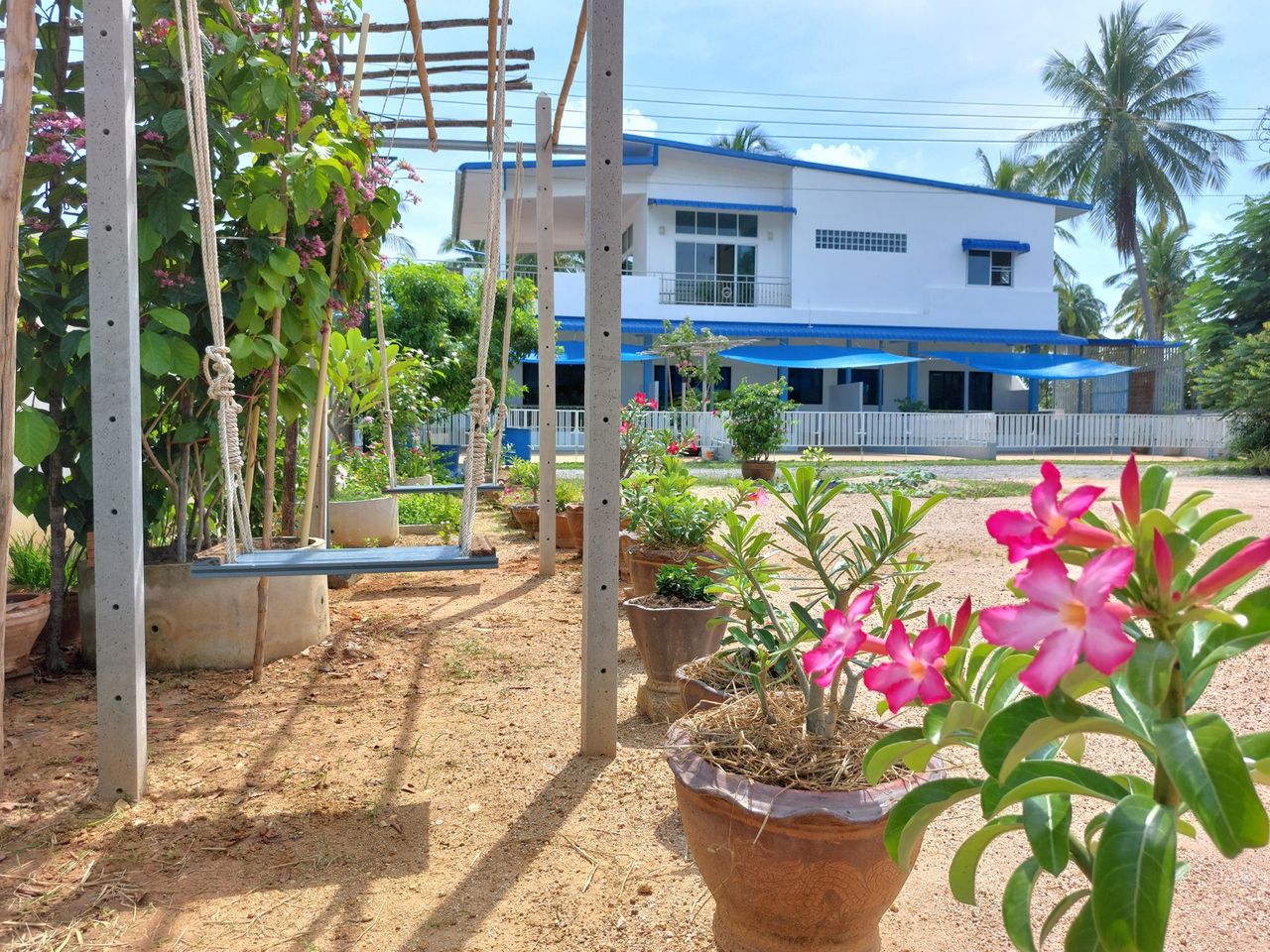 รูปภาพเพิ่มเติม บลูสกาย-อพาร์ทเม้น - Blue-Sky-Apartments - ลำดับที่ 2