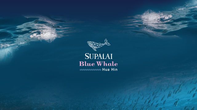 รูปโลโก้ใบประกาศ