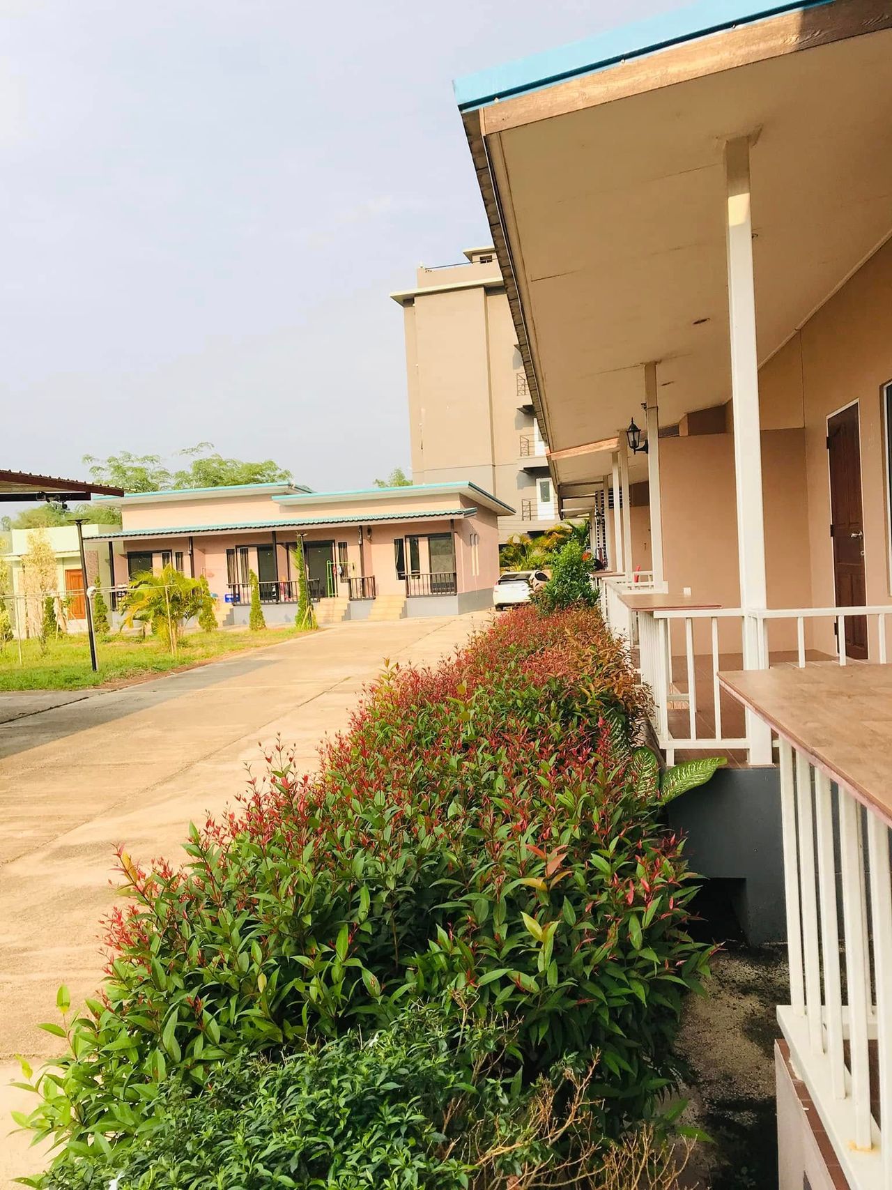 รูปภาพเพิ่มเติม รัตนกุลโฮม-แม่ฟ้าหลวง - rattanakul-home - ลำดับที่ 3