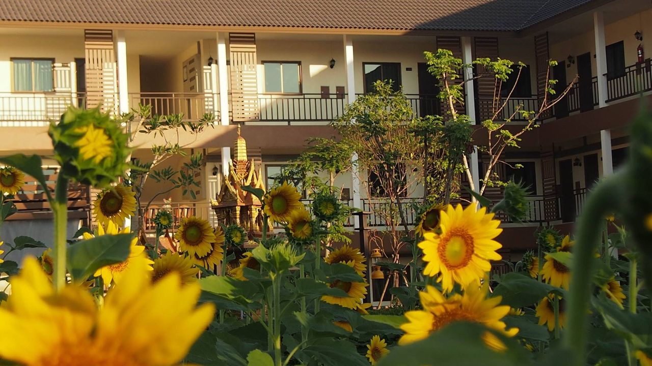 รูปภาพเพิ่มเติม เรือนแก้ว-อพาร์ทเม้นท์ - Ruen-Kaew-Apartment - ลำดับที่ 3