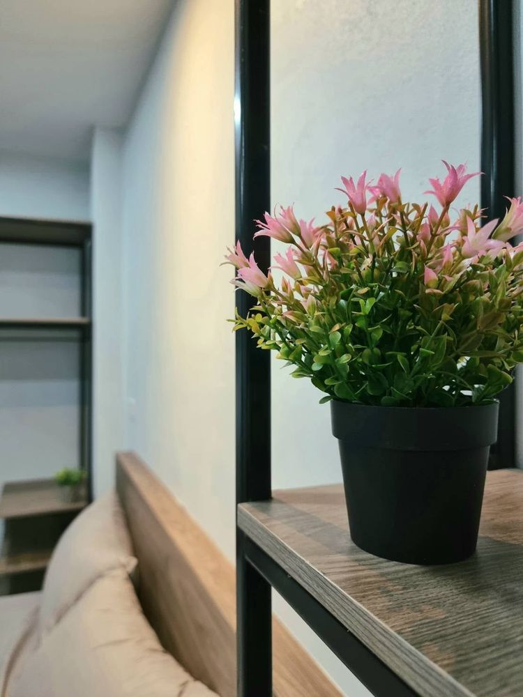 ภาพแบบห้อง