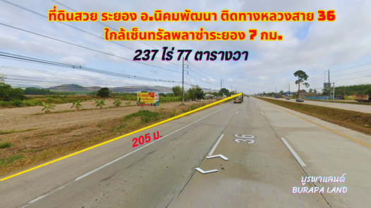 ขายที่ดินระยอง นิคมพัฒนา 237ไร่ 77ตรว. ใกล้เซ็นทรัลพลาซ่าระยอง 7 กิโลเมตร ผังสีเหลืองอ่อน