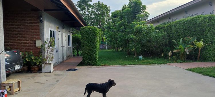 ภาพแบบห้อง