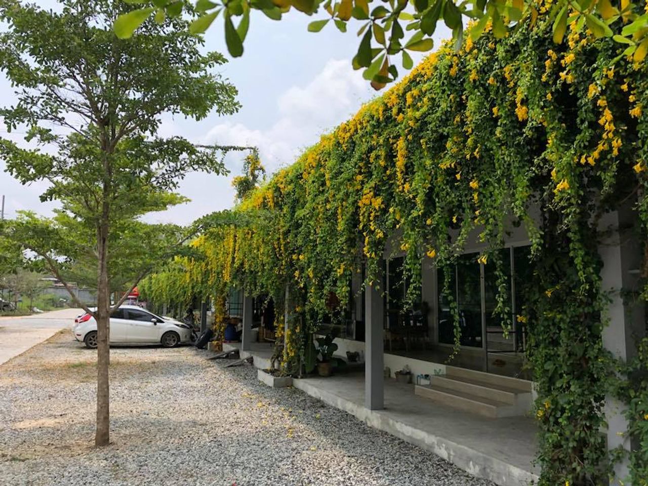 รูปภาพเพิ่มเติม แทมมาริน-เฮ้าส์-มาบยางพร - Tamarin-House-Mapyangporn - ลำดับที่ 3
