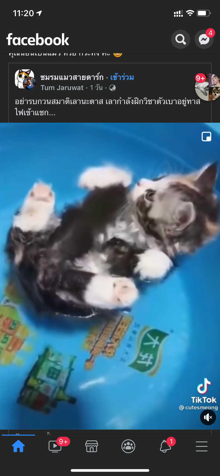 ภาพแบบห้อง