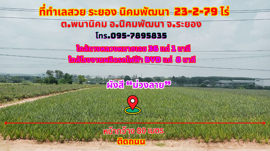 ขายที่ดินระยอง นิคมพัฒนา 23-2-79ไร่. ผังสีม่วงลาย ใกล้ทางหลวงสาย 36 ใกล้นิคม WHA ระยอง36 แค่ 8นาที