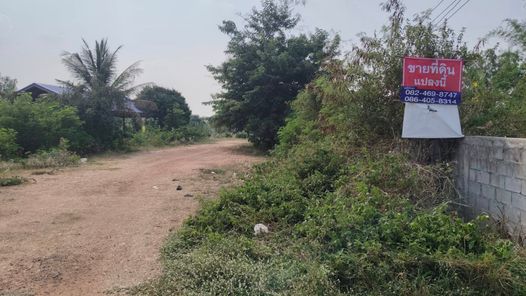 ขายที่ดินติดทางหลวงแผ่นดิน 214 (ถนนปัทมนนท์)สายสุรินทร์-ท่าตูม ท่าตูม ท่าตูม AbRKlRqW