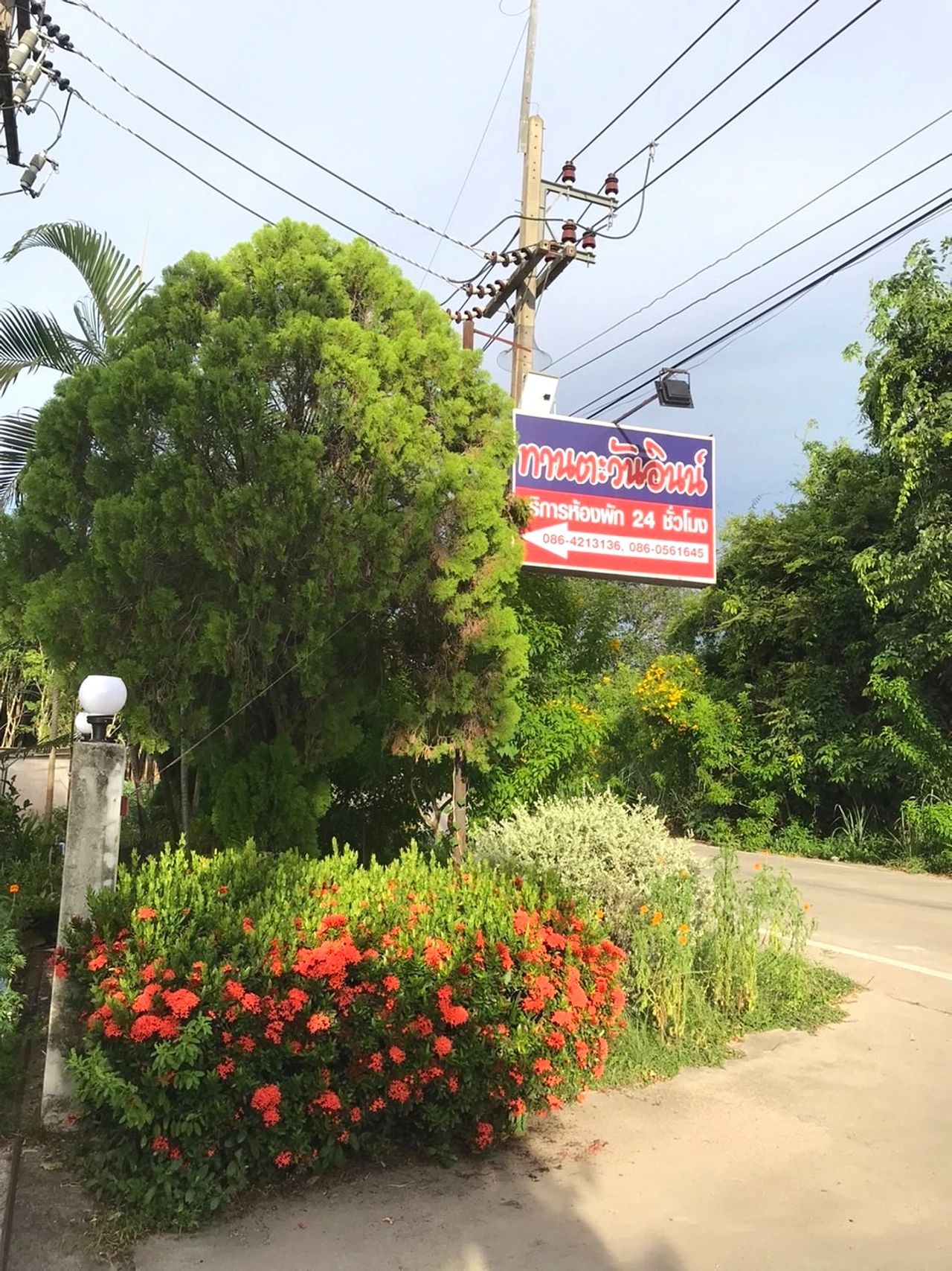 รูปภาพเพิ่มเติม ทานตะวันอินน์ - tantawan-inn - ลำดับที่ 1